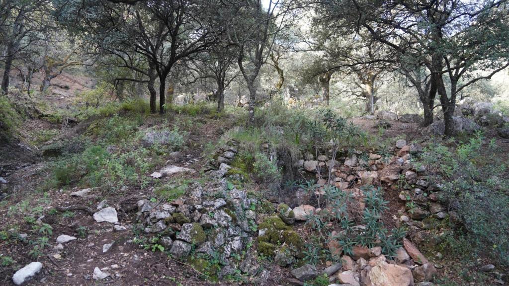 Zona en la que se acondicionará el sendero.