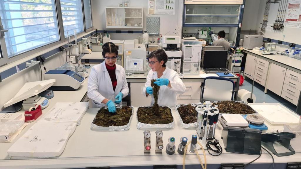 Cristina Soler y una de sus compañeras, durante la investigación.