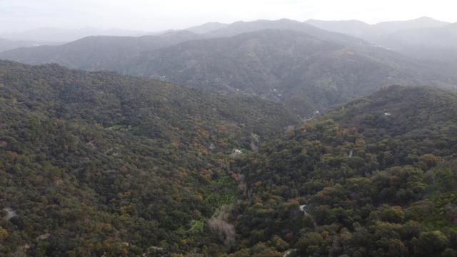 Paisaje de Algatocín.