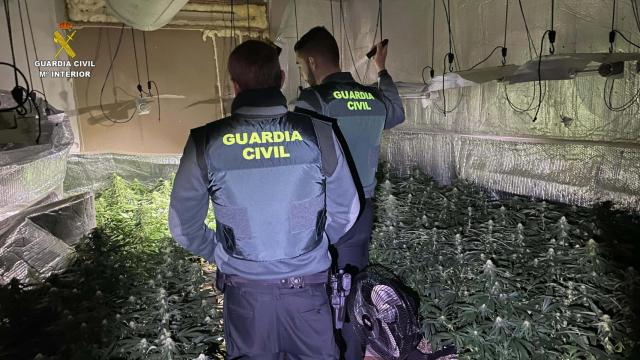 Dos agentes de la Guardia Civil inspeccionan la plantación.