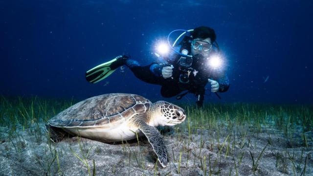 José Carlos Galens fotografiando una tortuga.