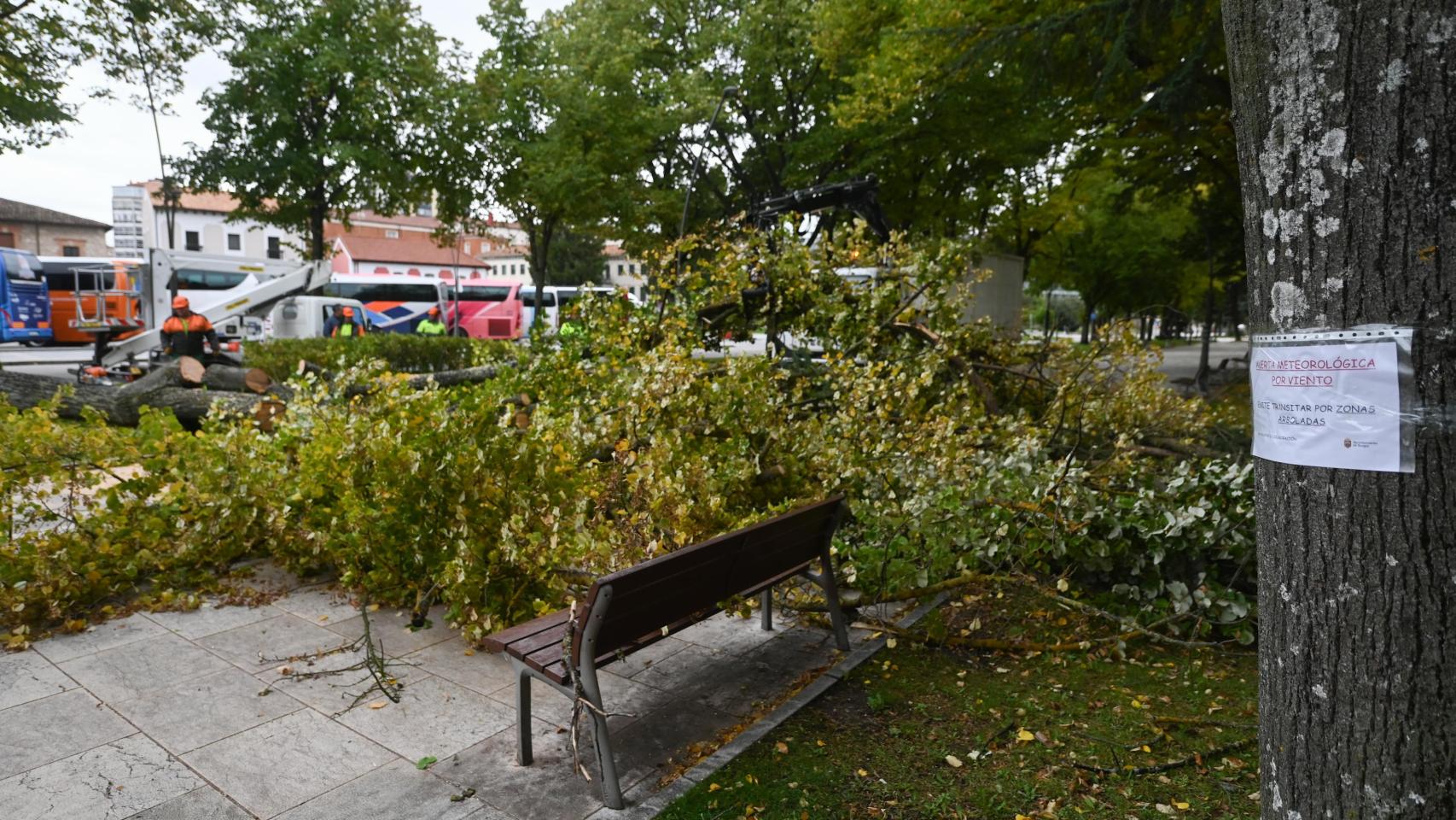 Destrozos provocados por el viento en la ciudad de Burgos