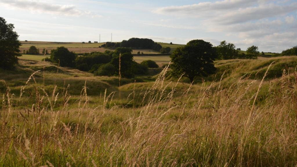 Restos de una mina romana en Charterhouse on Mendip, en Reino Unido.