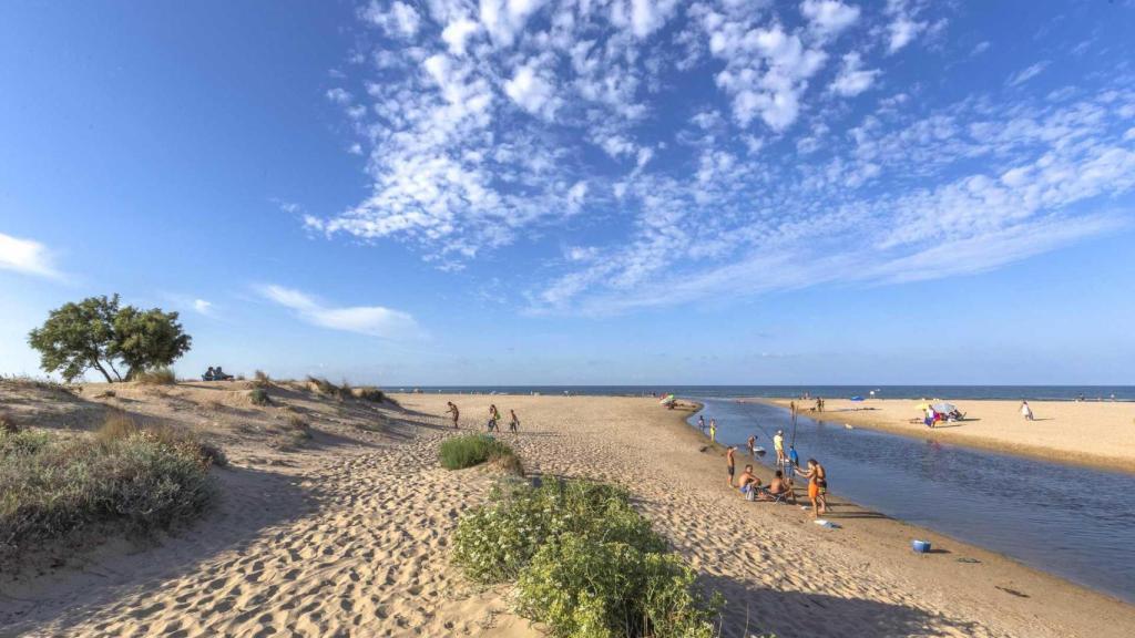 Playa de Les Deveses en Dénia.