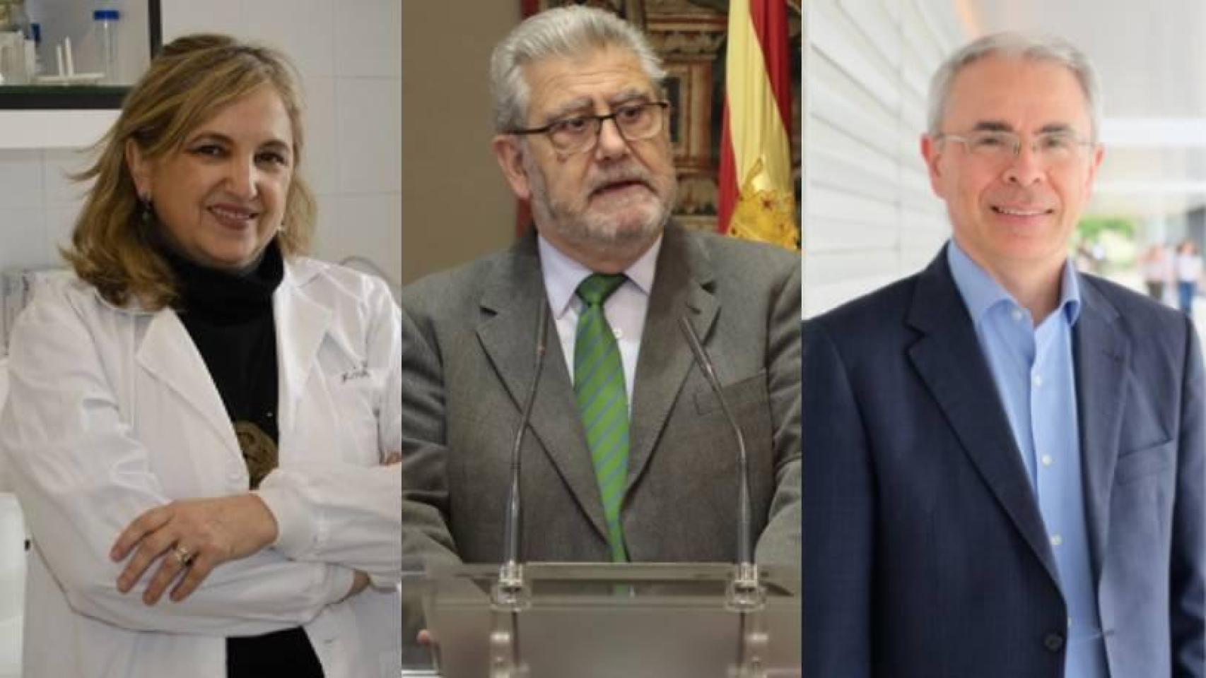 Bolea (izquierda) y Castellanos (derecha) se disputarán el relevo de Mayoral (centro)