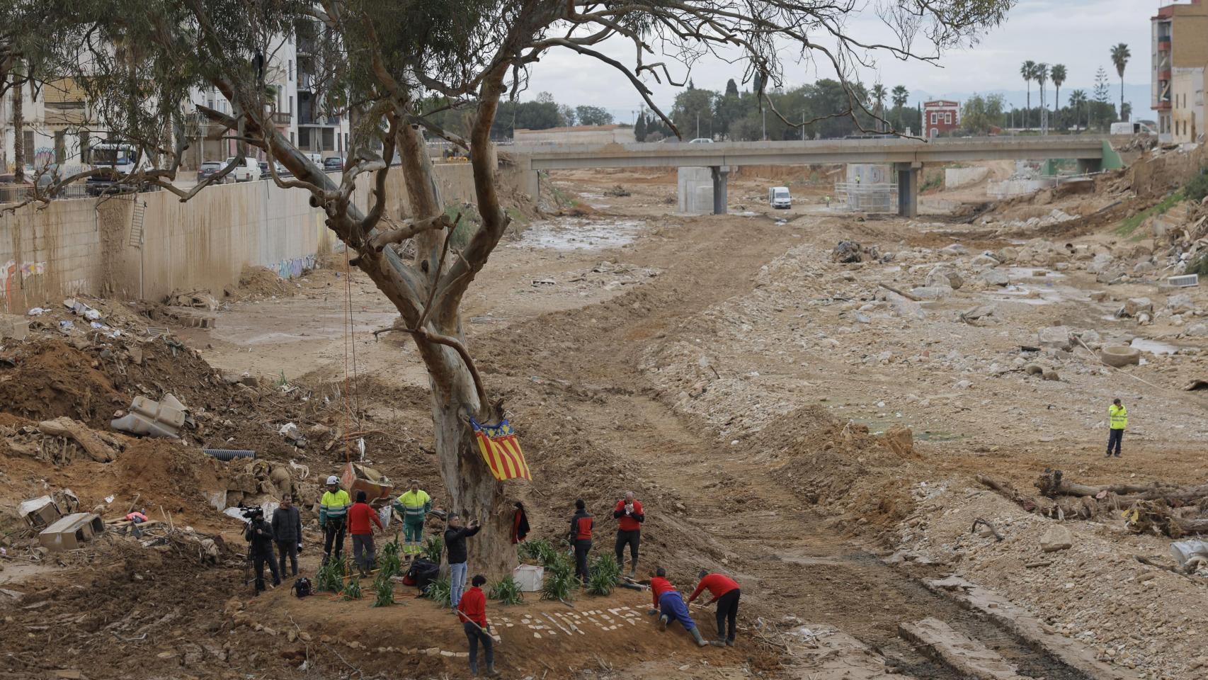 El árbol que sobrevivió en el barranco del Poyo, a la altura de Paiporta. Efe / Kai Försterling