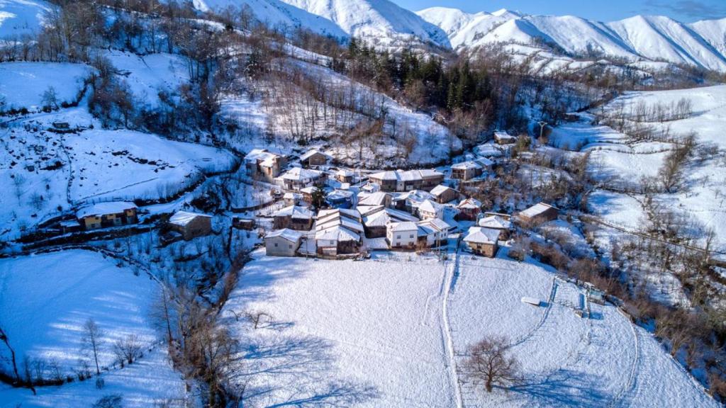 Ligueira nevada, en Piloña, Asturias.