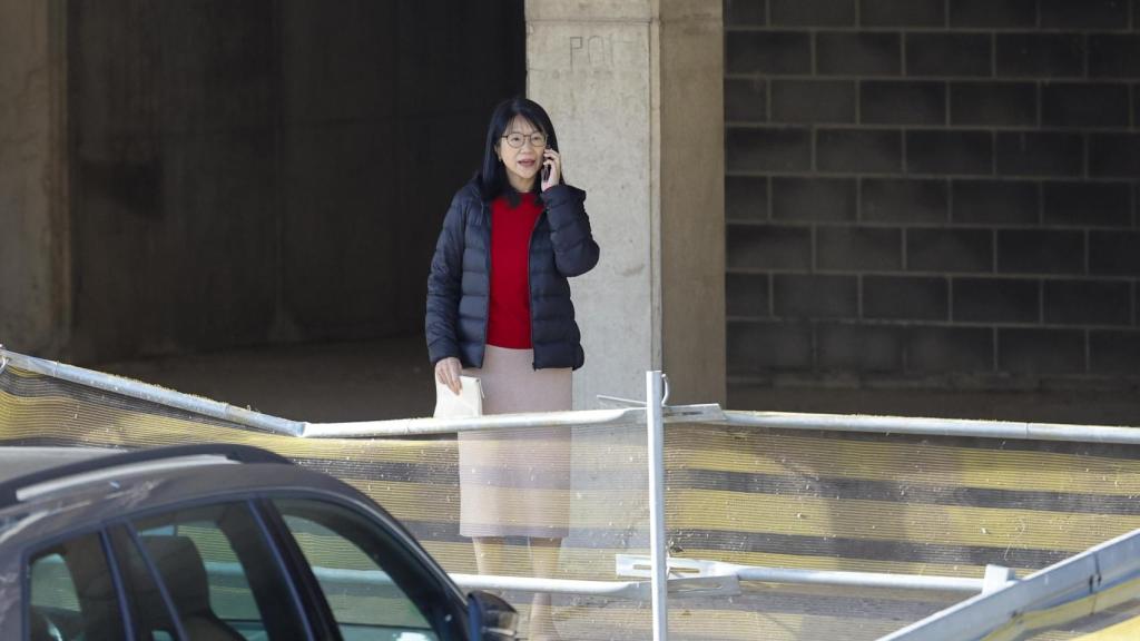 La presidenta del Valencia CF, Lay Hoon Chan, en el Nou Mestalla que ha retomado este viernes las obras. Efe / Ana Escobar