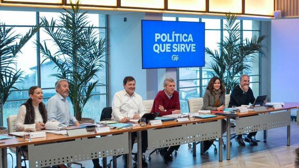 El presidente de la Junta de Castilla y León, Alfonso Fernández Mañueco, junto a otros presidentes autonómicos del PP en la reunión celebrada en Oviedo