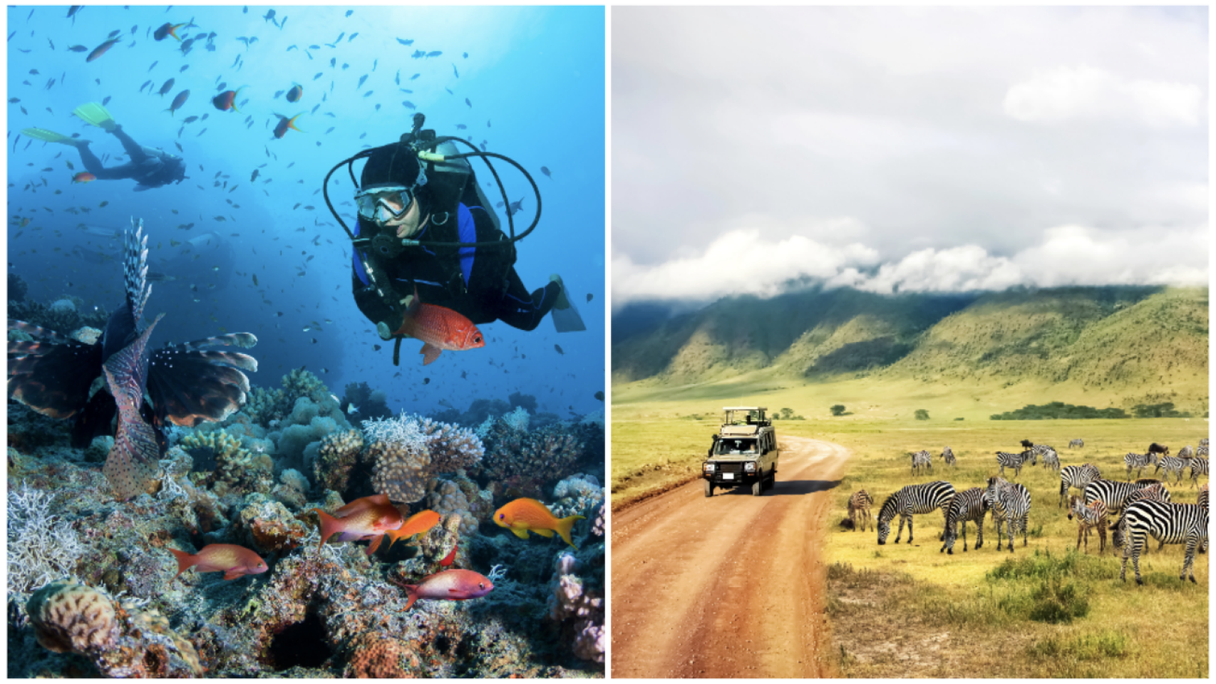 Agencia Viajes Turama.