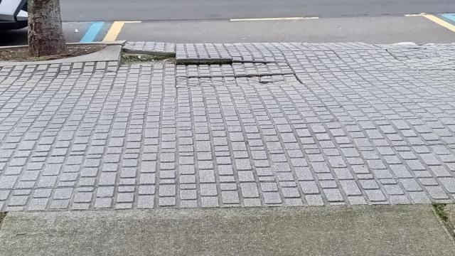 Un árbol levanta la acera de un vado en A Coruña y los vecinos exigen el pago al Concello