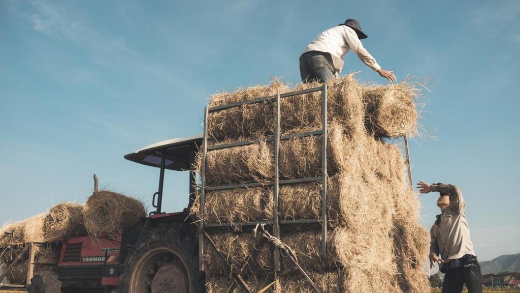 Imagen de varios agricultores trabajando