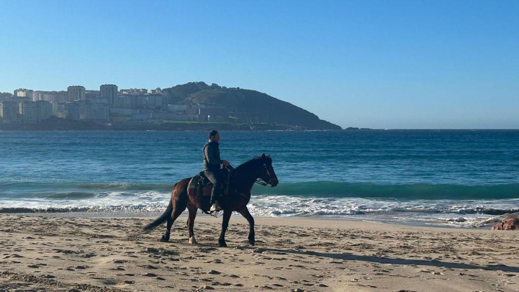 Un caballo en la playa del Orzán de A Coruña.