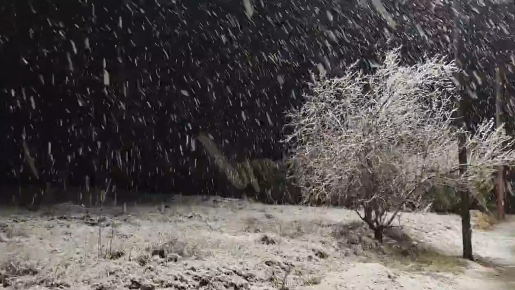 Las primeras nevadas cubren las cimas de Alicante