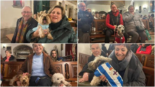 Mascotas en la iglesia de la Orden Tercera de A Coruña por el día de San Antonio Abad, patrón de los animales