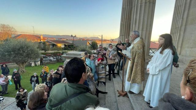 Decenas de animales han sido bendecidos en Vigo con motivo del Día de San Antón