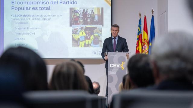 Vídeo | Feijóo critica el cese de Pallete dirigido en La Moncloa: Ningún Gobierno puede cesar al presidente de una compañía