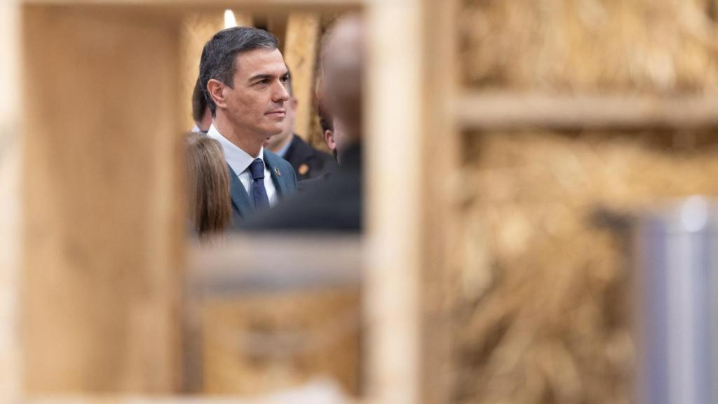 El presidente, Pedro Sánchez, esta semana en la sesión plenaria del Foro Económico Mundial de Davos.