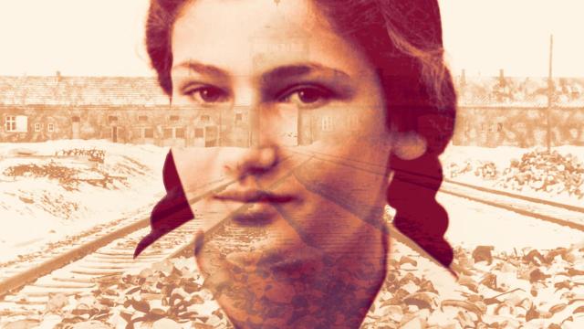 Simone Veil. Diseño: Rubén Vique.