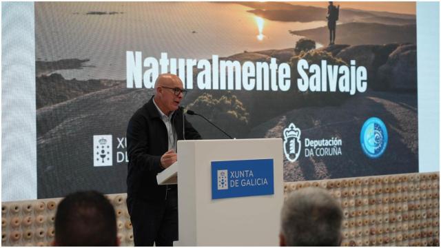 El vicepresidente de la Diputación de A Coruña, Xosé Regueira, en Fitur