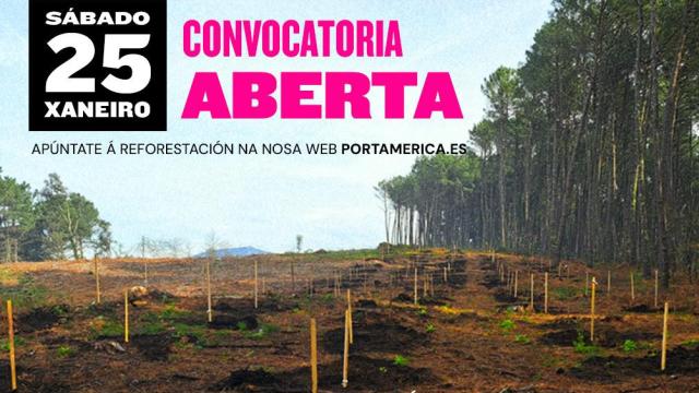 El festival PortAmérica celebra su iniciativa de reforestación anual: Centenas de árboles en 1,1 hectárea