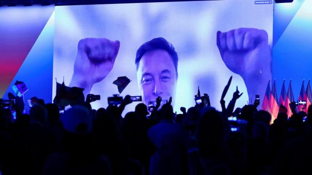 Elon Musk durante su participación virtual en un acto de AfD.