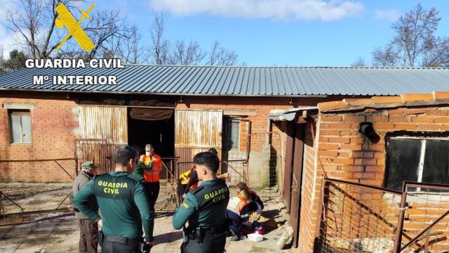 La Guardia Civil en la explotación ganadera de Navaluenga