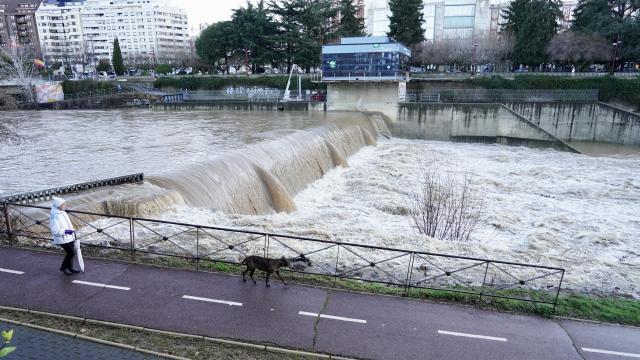 Crecida del río Bernesga a su paso por la ciudad de León