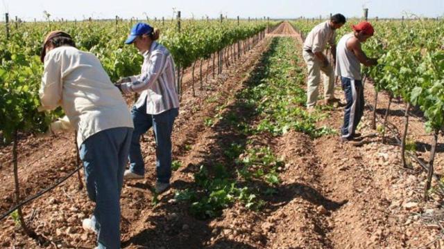 Imagen de archivo de unos trabajadores en el campo.