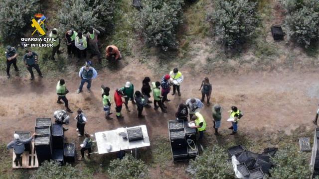 La Guardia Civil investiga tres personas por un delito contra los derechos de los trabajadores en una explotación agrícola en Galicia