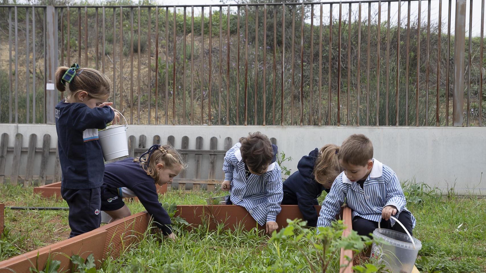 CEU San Pablo Sevilla.