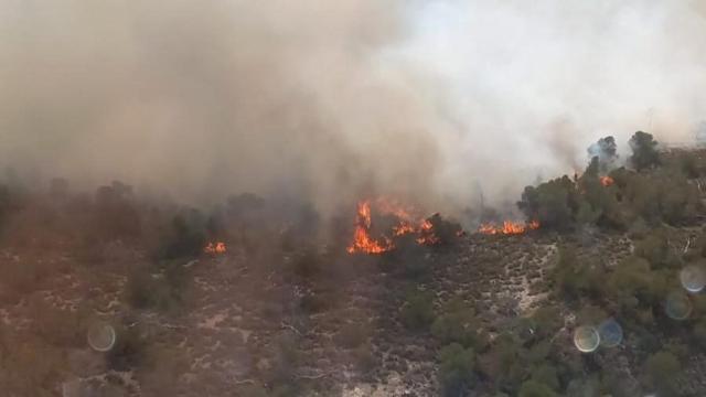 Incendio forestal en Algueña.