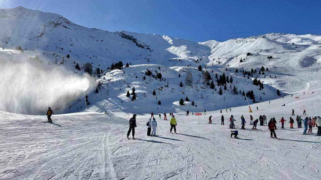 Cerler nevado.