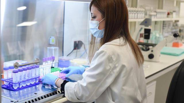 Una investigadora en el Centro de Oncología Experimental del Instituto de Investigación del Hospital 12 de Octubre.