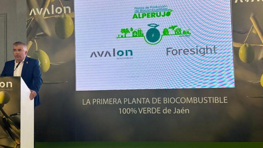 Jornada organizada por Avalon Renovables.