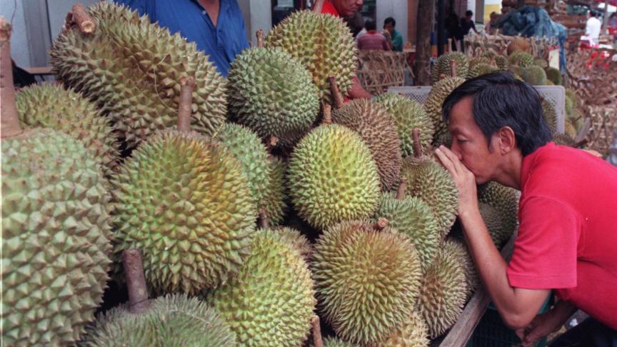 El durián, la fruta más apestosa del mundo.