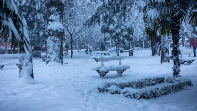 Imagen de nieve en Soria