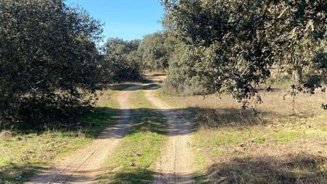 Camino de San Román en Castronuño