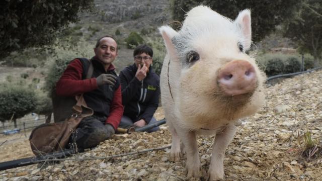 Javier y Feli con Bulla.