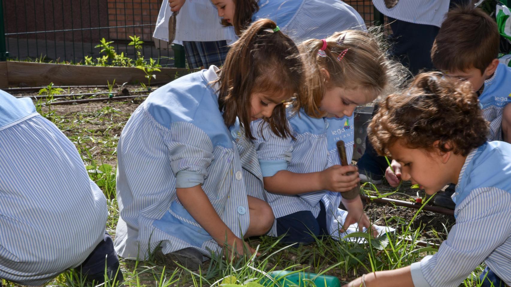 Legamar International School (Madrid).