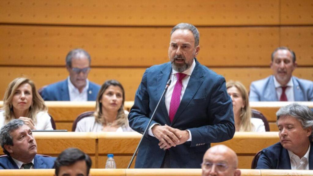 El senador del PP por Salamanca Bienvenido de Arriba, en una intervención en el Senado