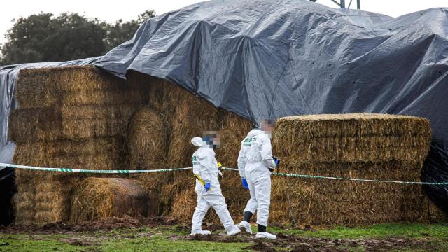 Registro en varias viviendas y un coche incautado: la Guardia Civil intensifica la investigación sobre la muerte de Álvaro