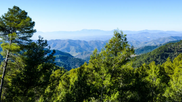 Imagen de Los Montes de Málaga.