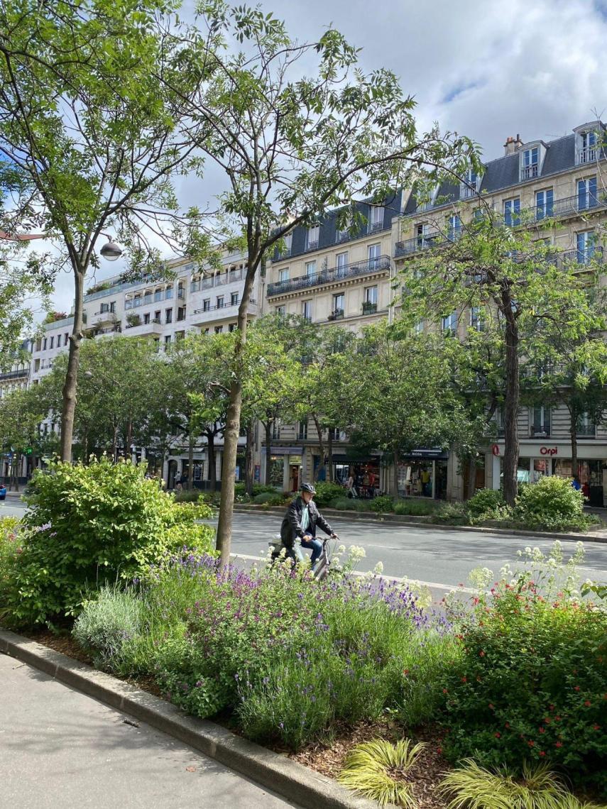 Una de las avenidas de París en las que se inspira el informe.