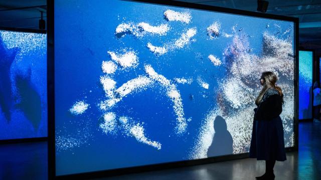 Una persona contempla una de las doce pantallas de la exposición inmersiva 'Ecos del océano', en el Espacio Fundación Telefónica de Madrid. Foto: Fundación Telefónica