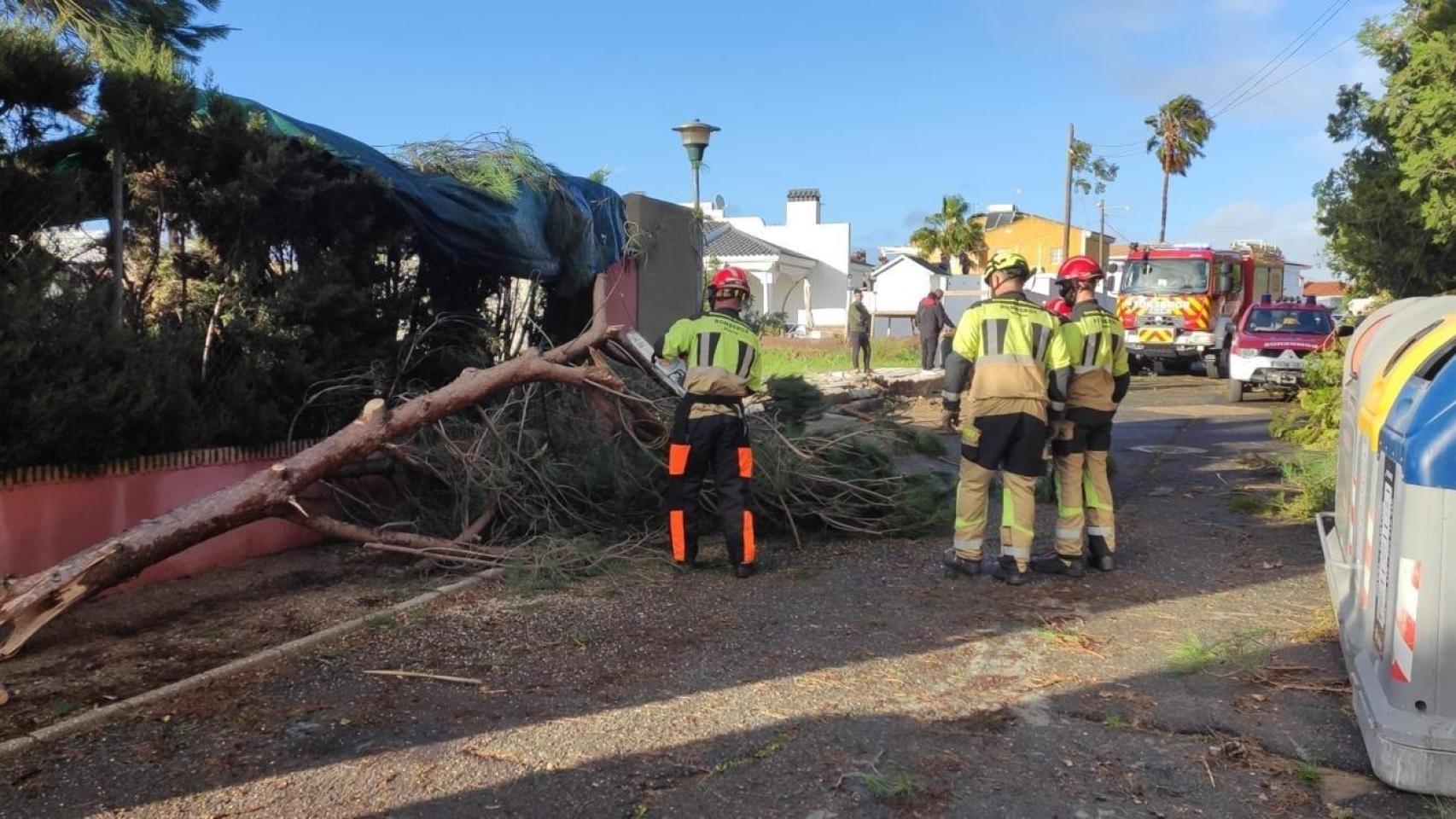 Tornado en Huelva: el viento arranca árboles y afecta a decenas de casas en Ayamonte, según el alcalde de la localidad