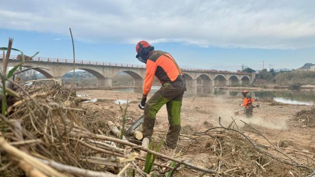 Trabajos en el Parque Natural del Túria tras la dana. GVA