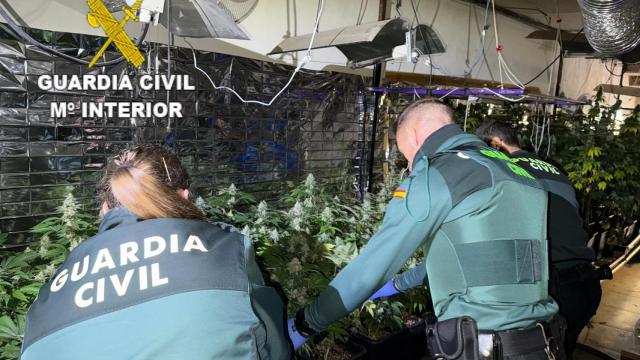 Agentes de la Guardia Civil tras hallar el cultivo.