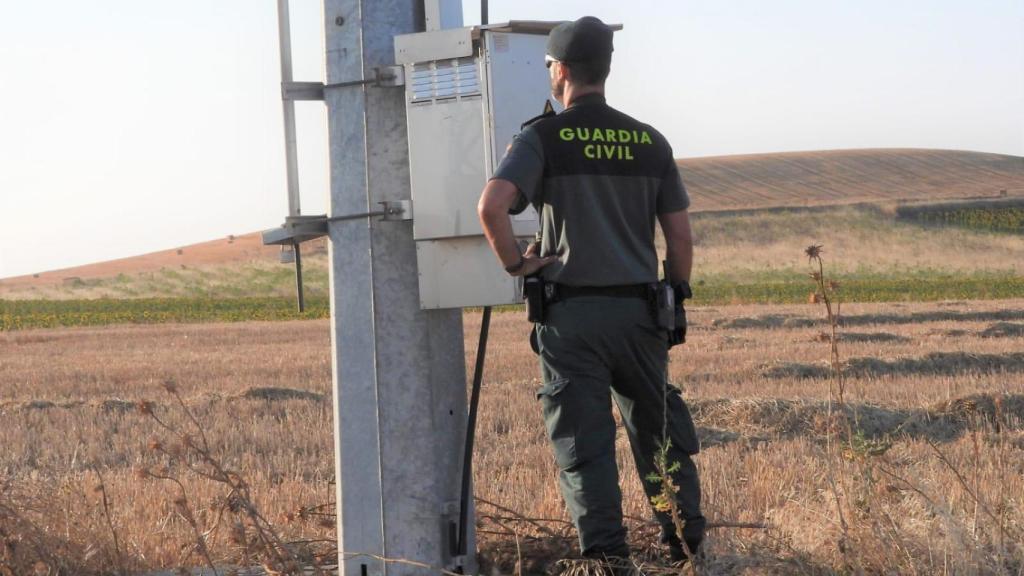 Investigan a un hombre por la electrocución y muerte de al menos nueve aves protegidas en un pueblo de Zamora