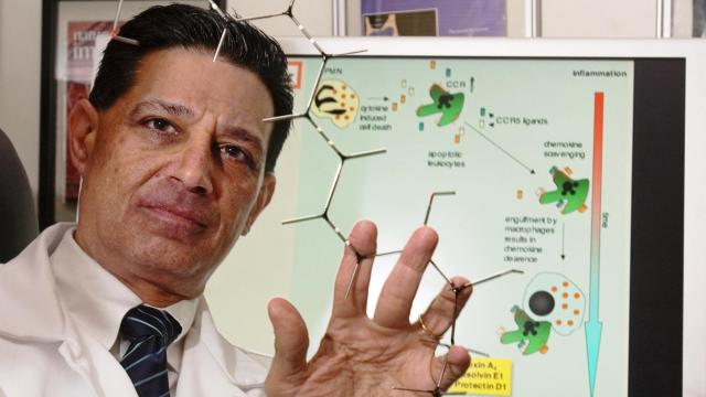 El doctor Charles N. Serhan, descubridor de las resolvinas.